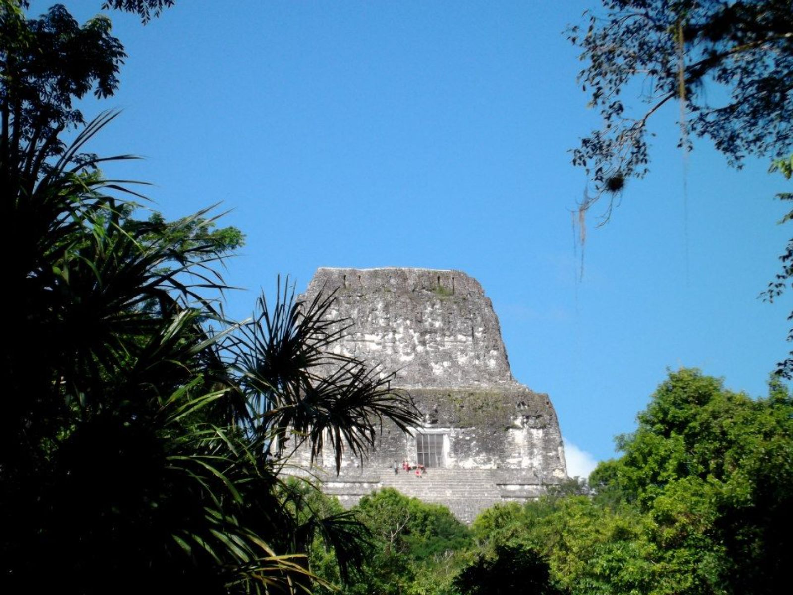 Rondreis Guatemala, Flores, excursie zonsopkomst in Tikal, Tikal ruïne