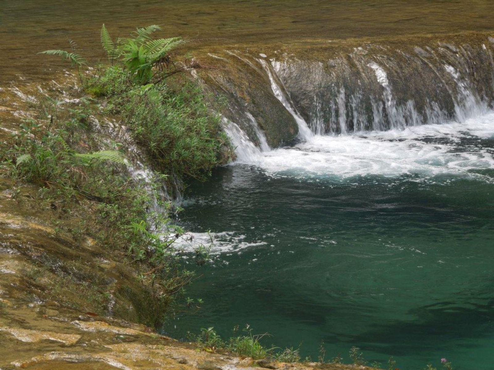 Rondreis Guatemala, Lanquin, excursie natuurspektakel bij Semuc Champey en Lanquin, Semuc Champey dichtbij
