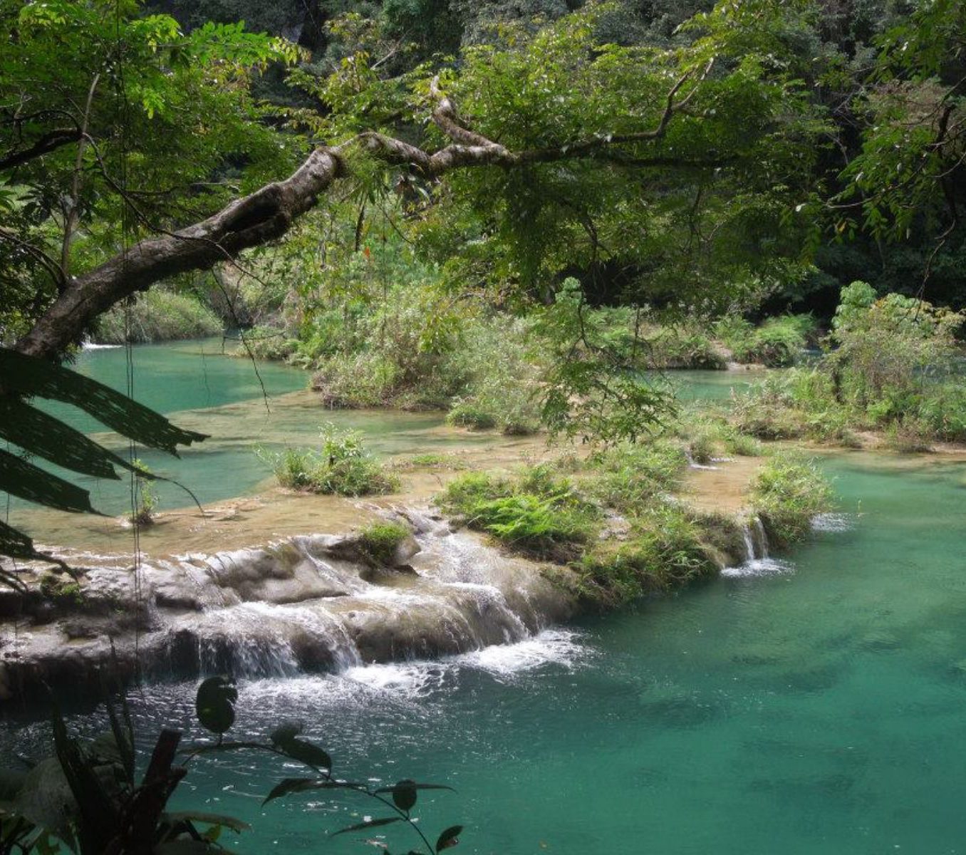 Rondreis Guatemala, Lanquin, excursie natuurspektakel bij Semuc Champey en Lanquin, Semuc Champey van boven