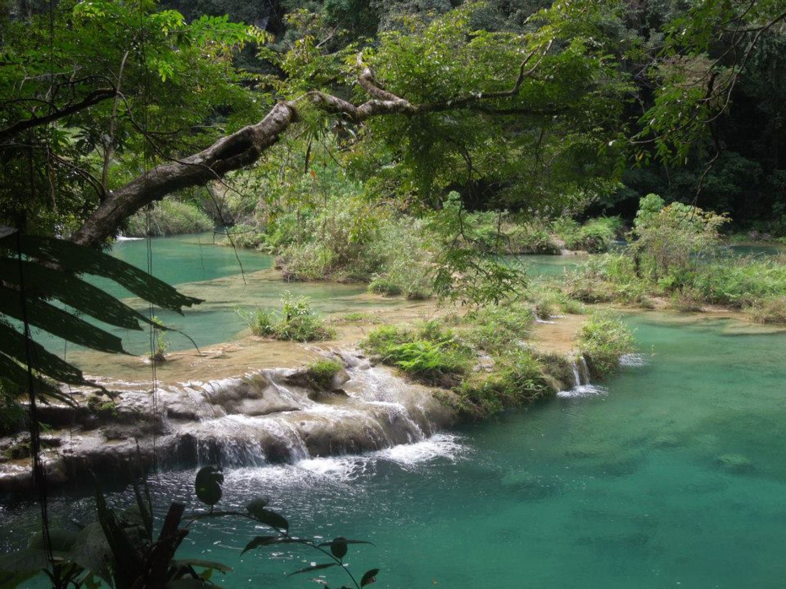 Rondreis Guatemala, Lanquin, excursie natuurspektakel bij Semuc Champey en Lanquin, Semuc Champey van boven