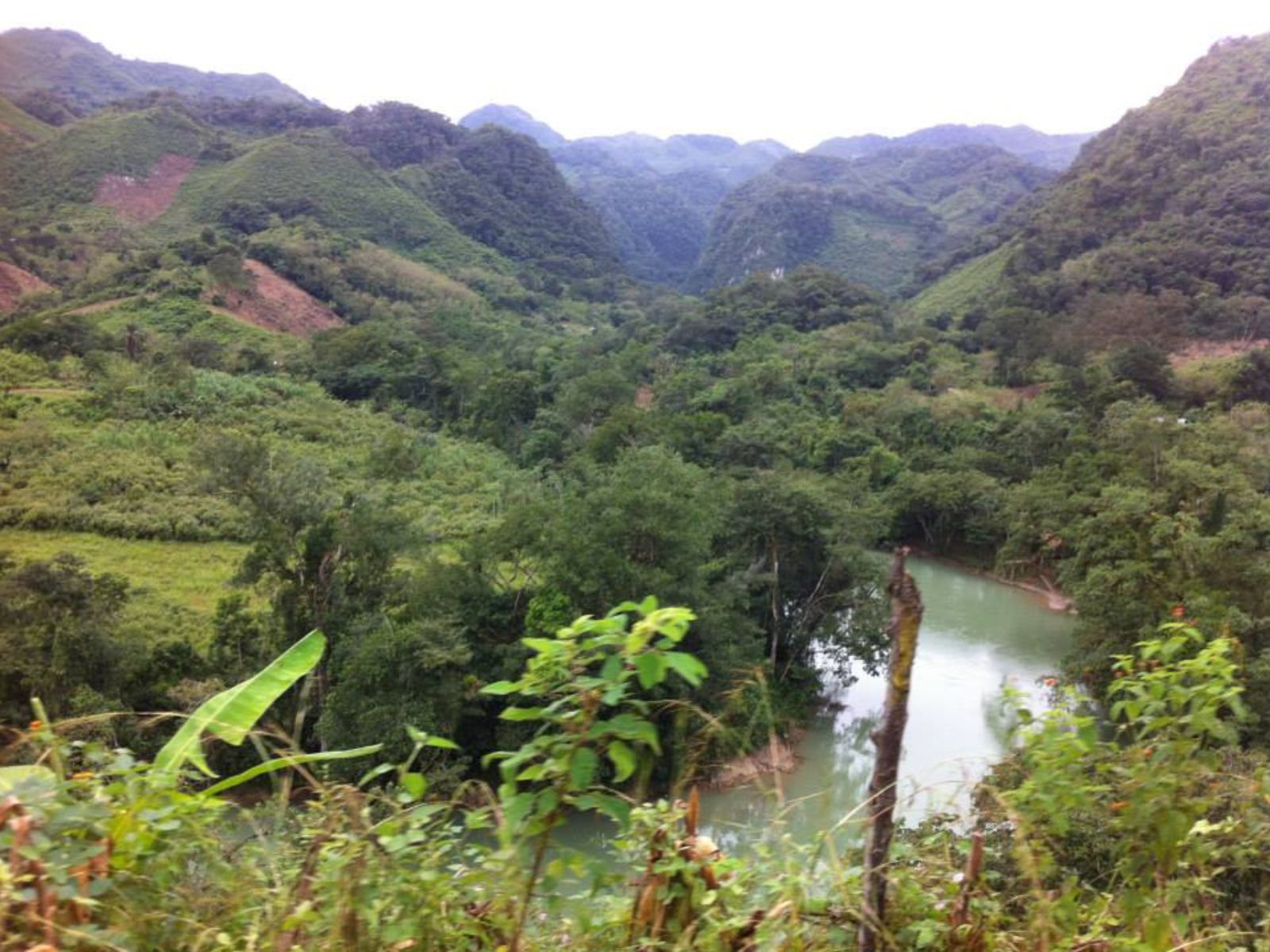 Rondreis Guatemala, Lanquin, excursie natuurspektakel bij Semuc Champey en Lanquin, Semuc Champey