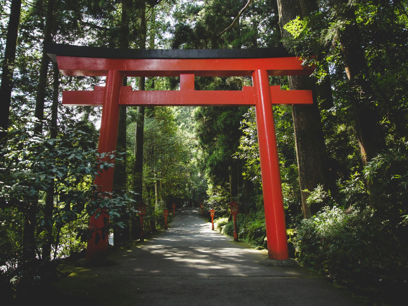 Rondreis Japan, Hakone, excursie Mountainbike tour Hakone, bospad met Torii gate