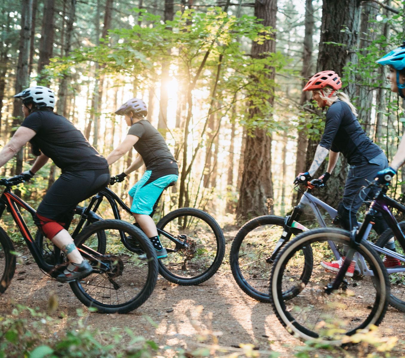 Rondreis Japan, Hakone, excursie Mountainbike tour Hakone, groep op mountainbikes aan het fietsen