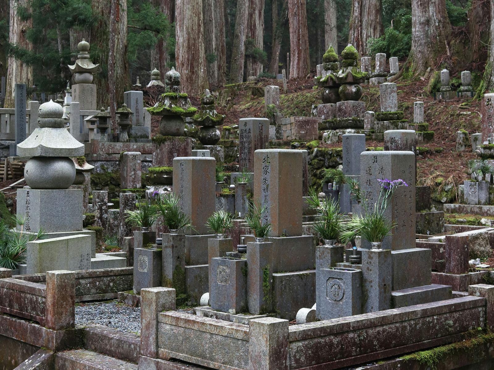Rondreis Japan, Koyasan, excursie avondtour door Okunoin Cemetry, begraafplaatsen