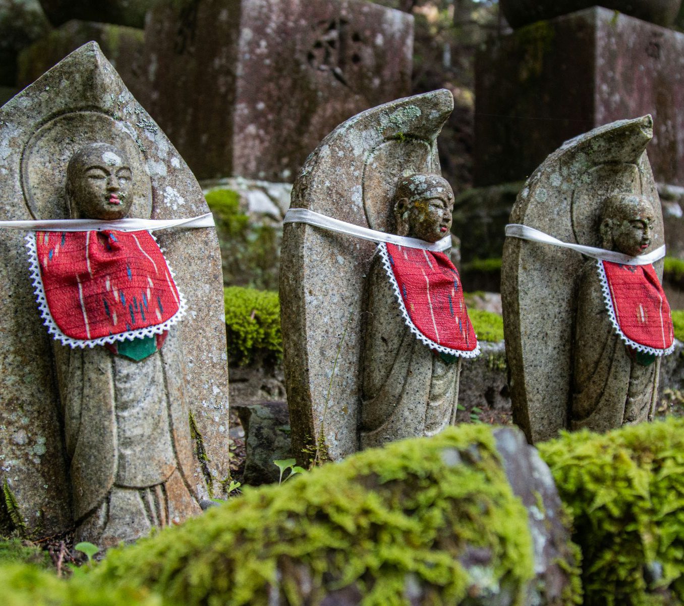 Rondreis Japan, Koyasan, excursie avondtour door Okunoin Cemetry, standbeelden