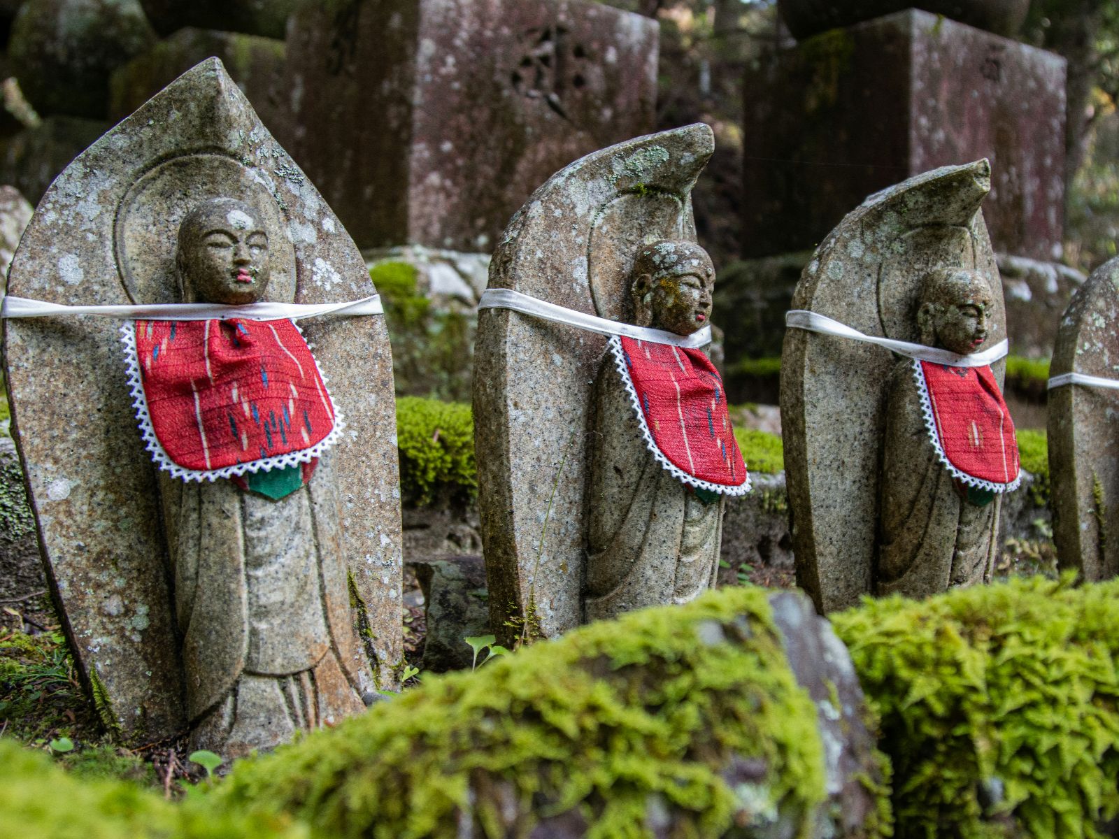 Rondreis Japan, Koyasan, excursie avondtour door Okunoin Cemetry, standbeelden