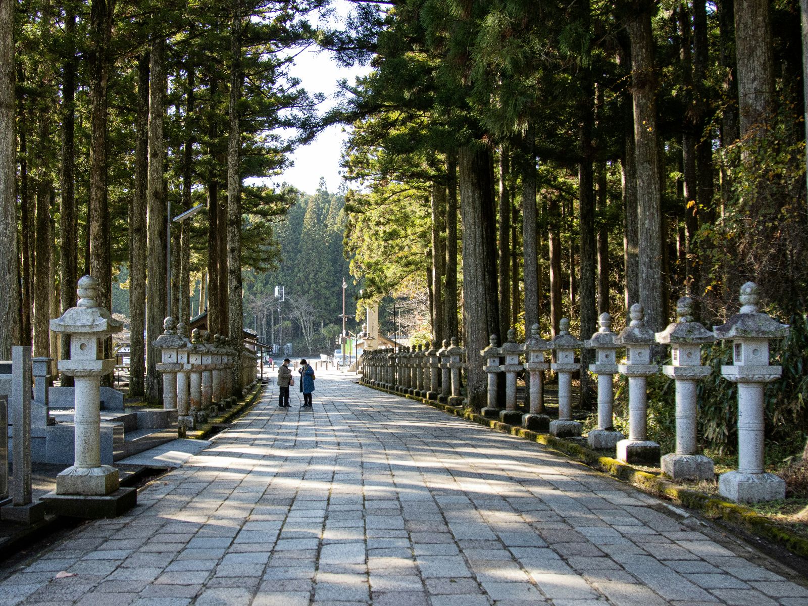 Rondreis Japan, Koyasan, excursie avondtour door Okunoin Cemetry, wandelpad door cemetery