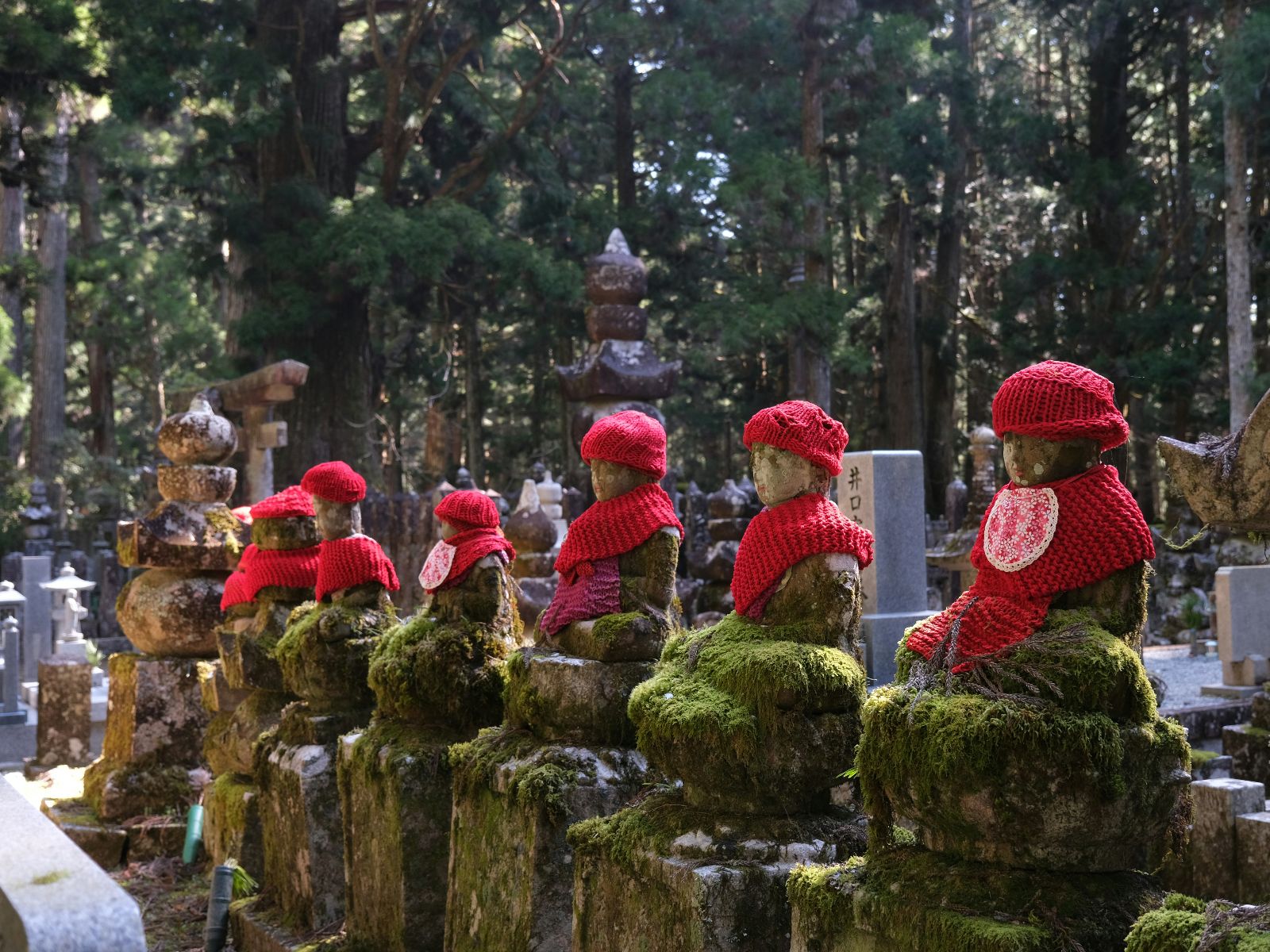 Rondreis Japan, Koyasan, excursie avondtour door Okunoin Cemetry, zes jiso standbeelden