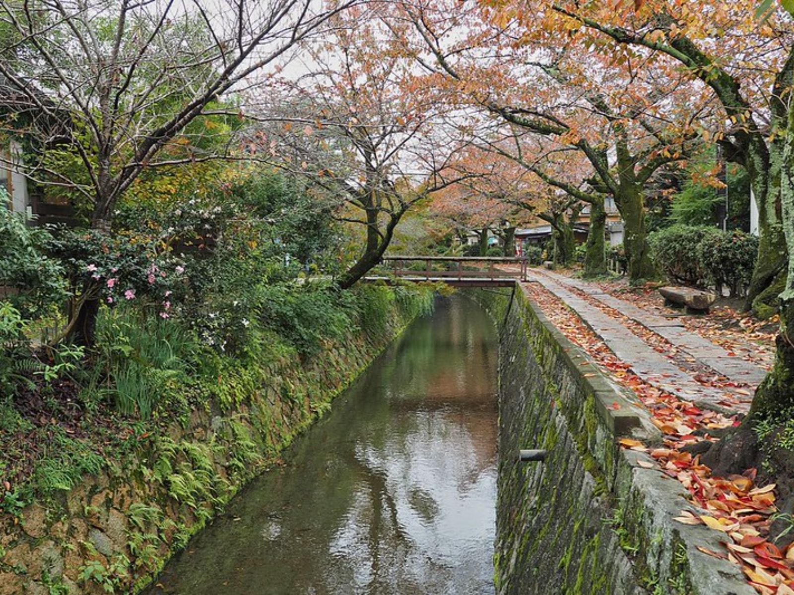 Rondreis Japan, Kyoto, excursie Wandeltour, Philosophers Path herfstkleuren