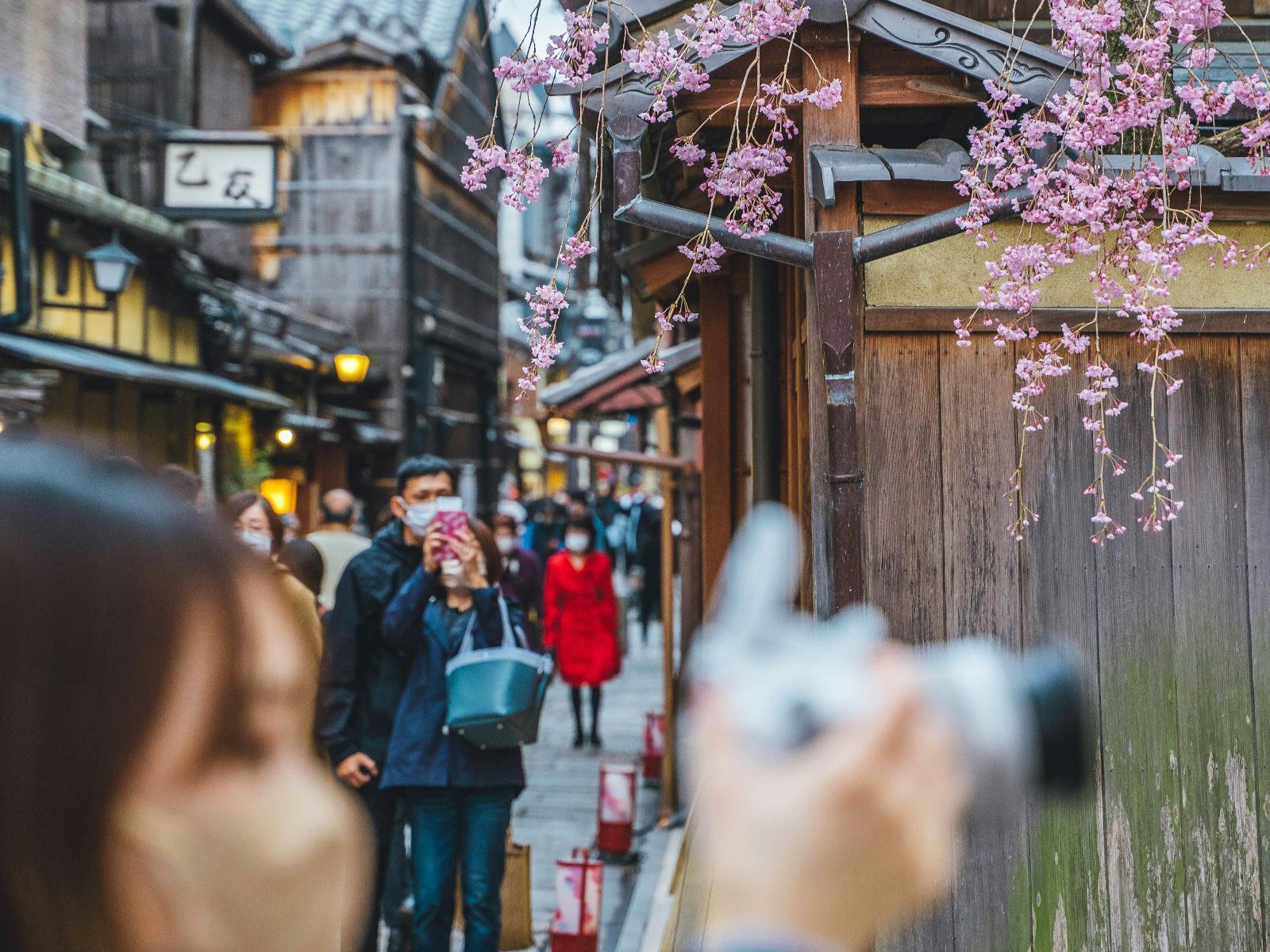 Rondreis Japan, Kyoto, excursie Wandeltour, toeristen in straat met bloesem