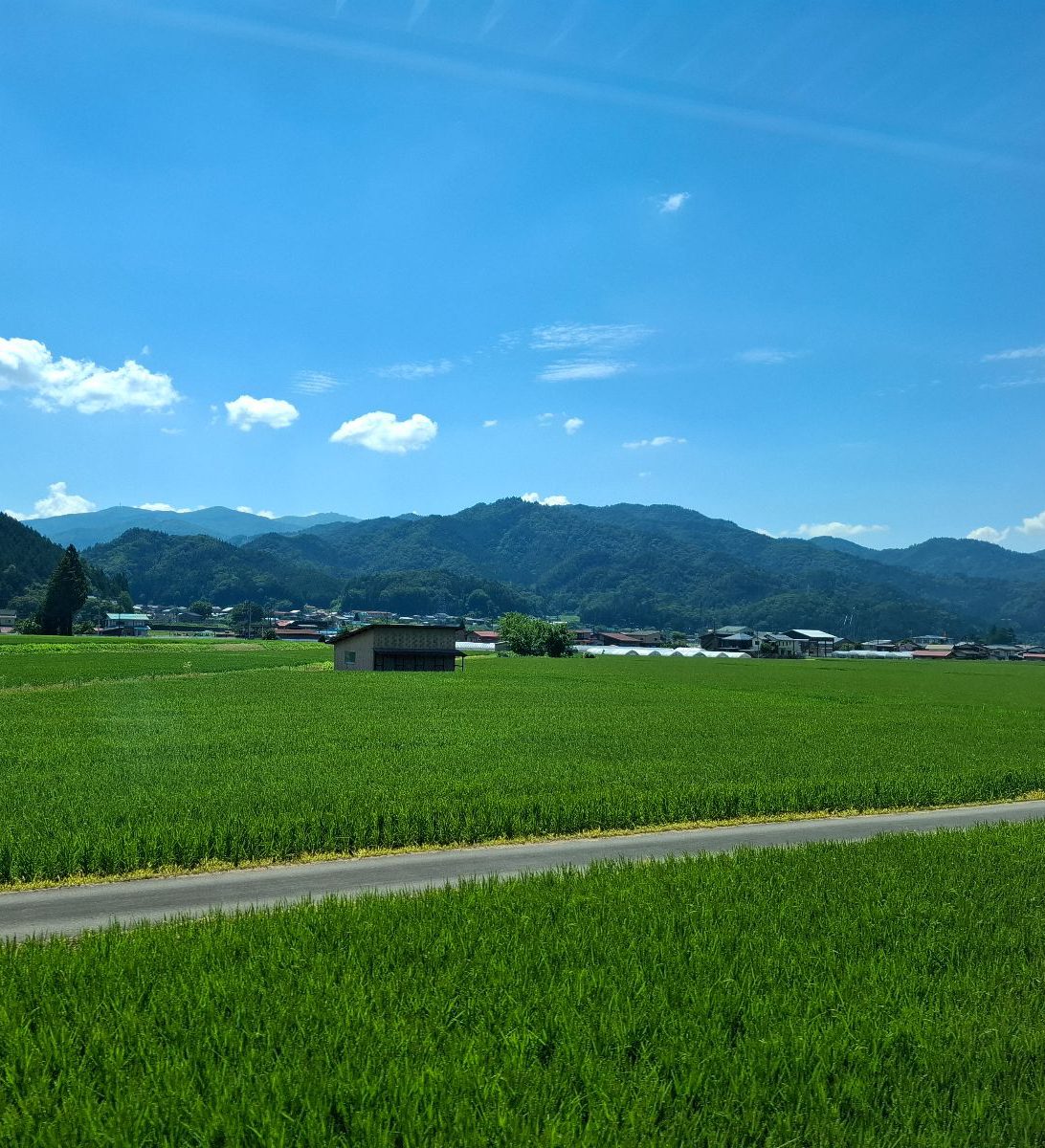Rondreis Japan, Takayama, excursie fietstour door Hida Furukawa, rijstvelden