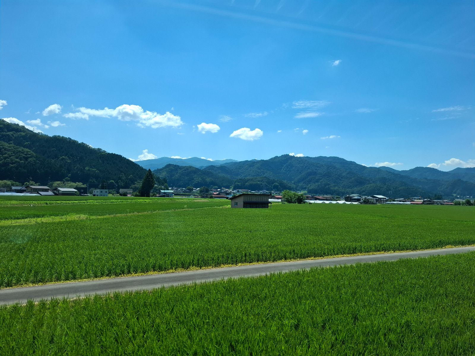 Rondreis Japan, Takayama, excursie fietstour door Hida Furukawa, rijstvelden