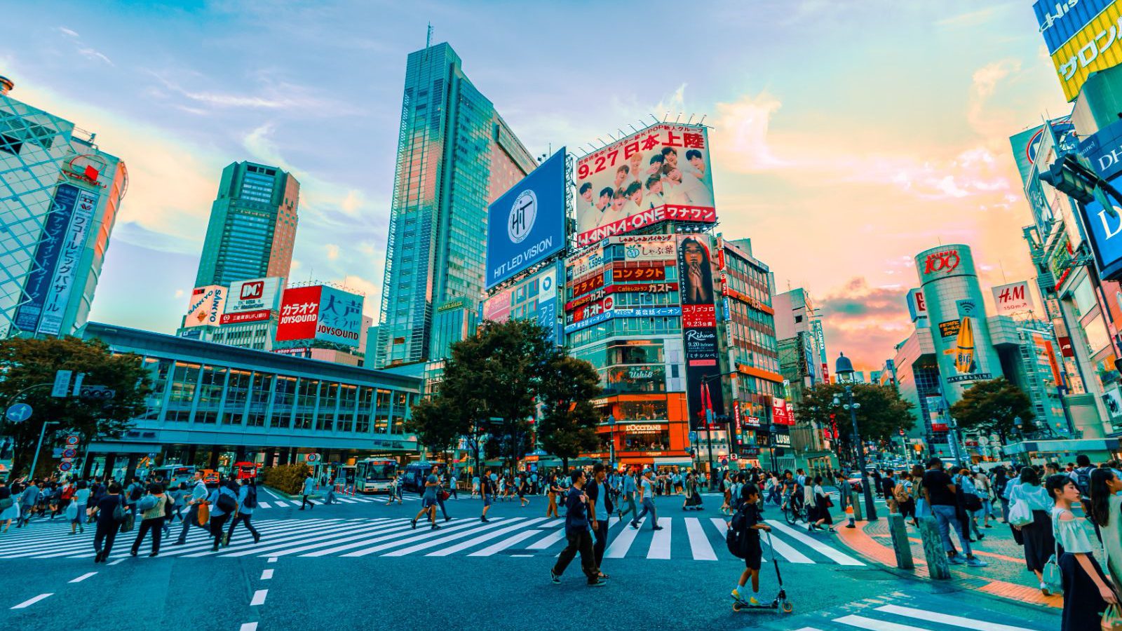 Rondreis Japan, Tokyo, Shibuya Crossing, druk kruispunt bij zonsondergang