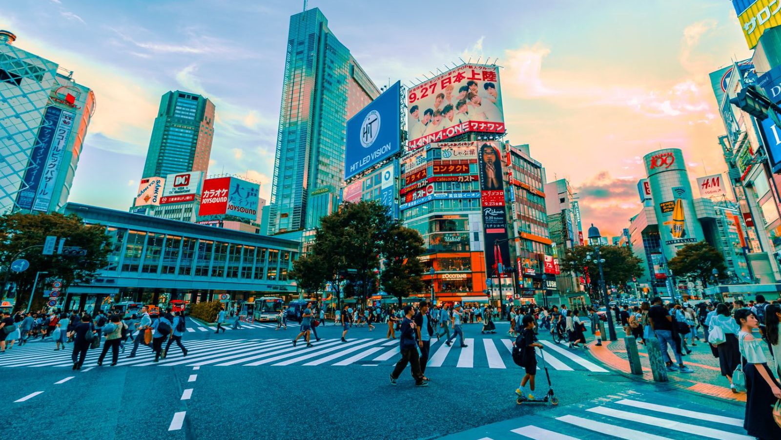 Rondreis Japan, Tokyo Shibuya Scramble Crossing