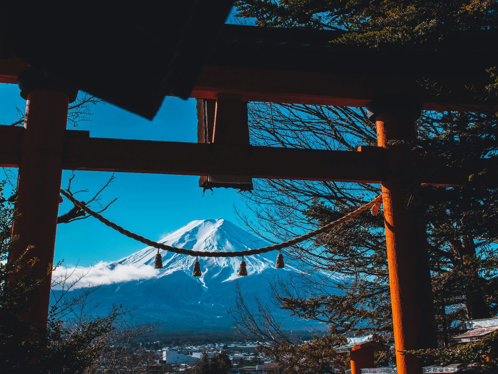 Rondreis Japan, Tokyo, excursie Dagtour Mount Fuji & Hakone, uitzicht door een poort op Mount Fuji