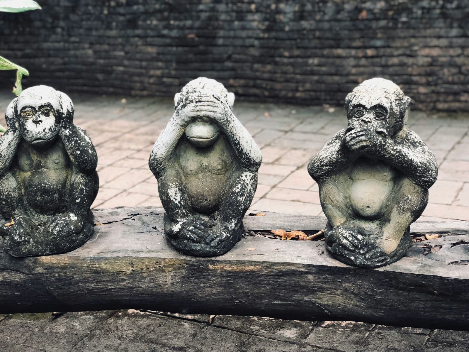 Rondreis Japan, Tokyo, excursie Dagtour naar Nikko, Three Wise Monkeys