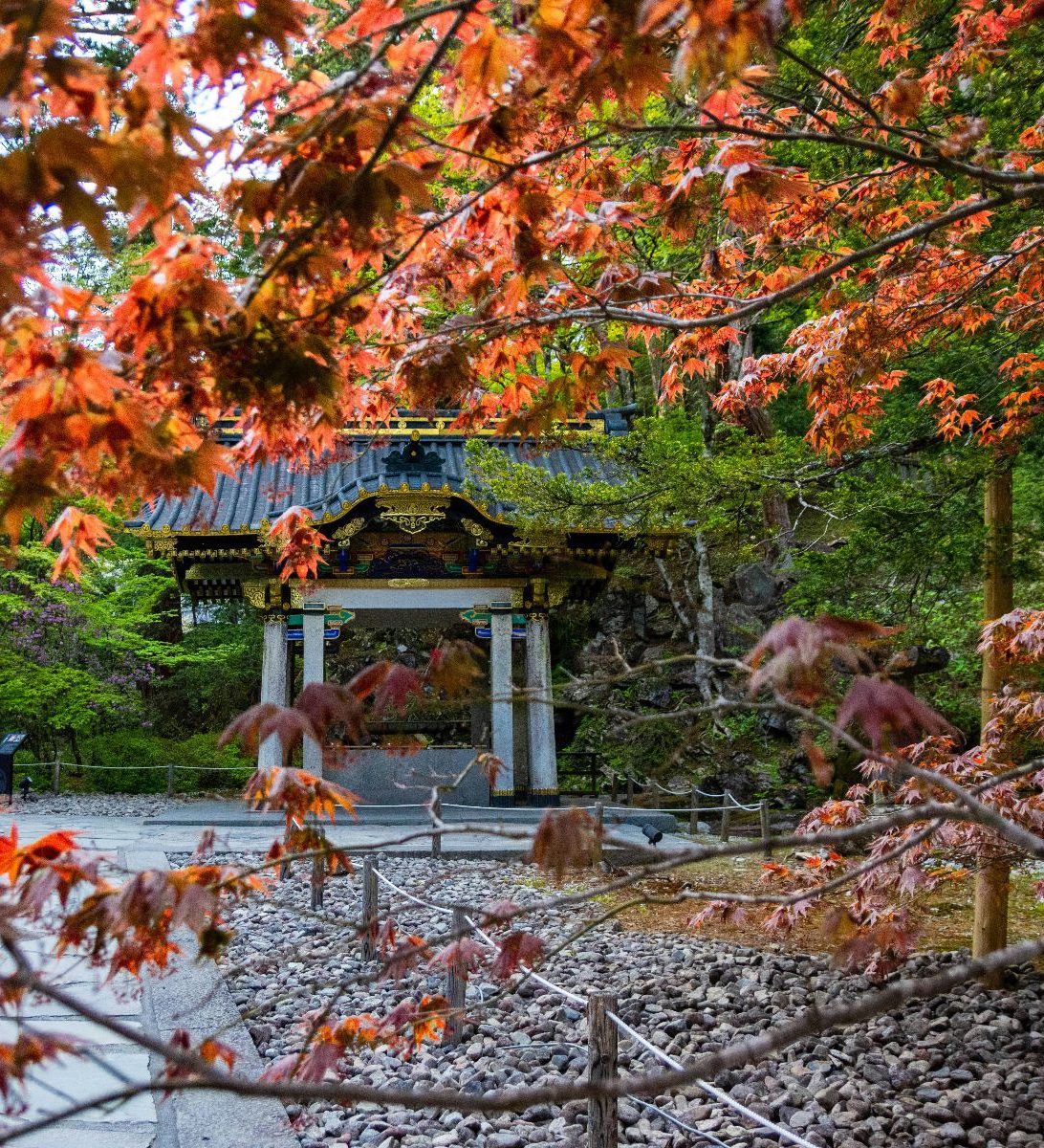 Rondreis Japan, Tokyo, excursie Dagtour naar Nikko, Tochigi met herfstkleuren