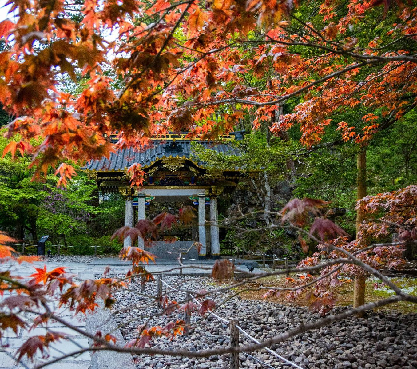 Rondreis Japan, Tokyo, excursie Dagtour naar Nikko, Tochigi met herfstkleuren