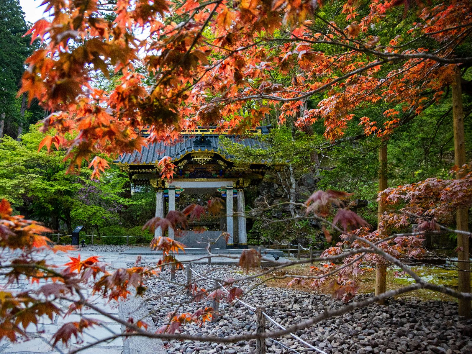 Rondreis Japan, Tokyo, excursie Dagtour naar Nikko, Tochigi met herfstkleuren