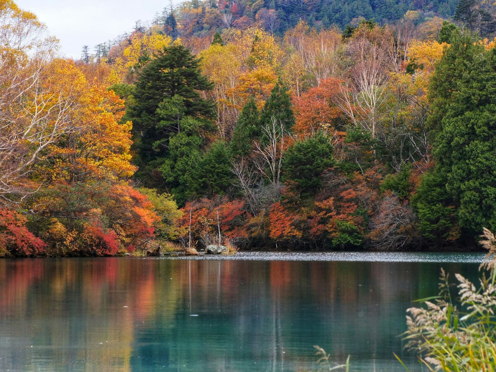Rondreis Japan, Tokyo, excursie Dagtour naar Nikko, meer met bomen in herfstkleuren