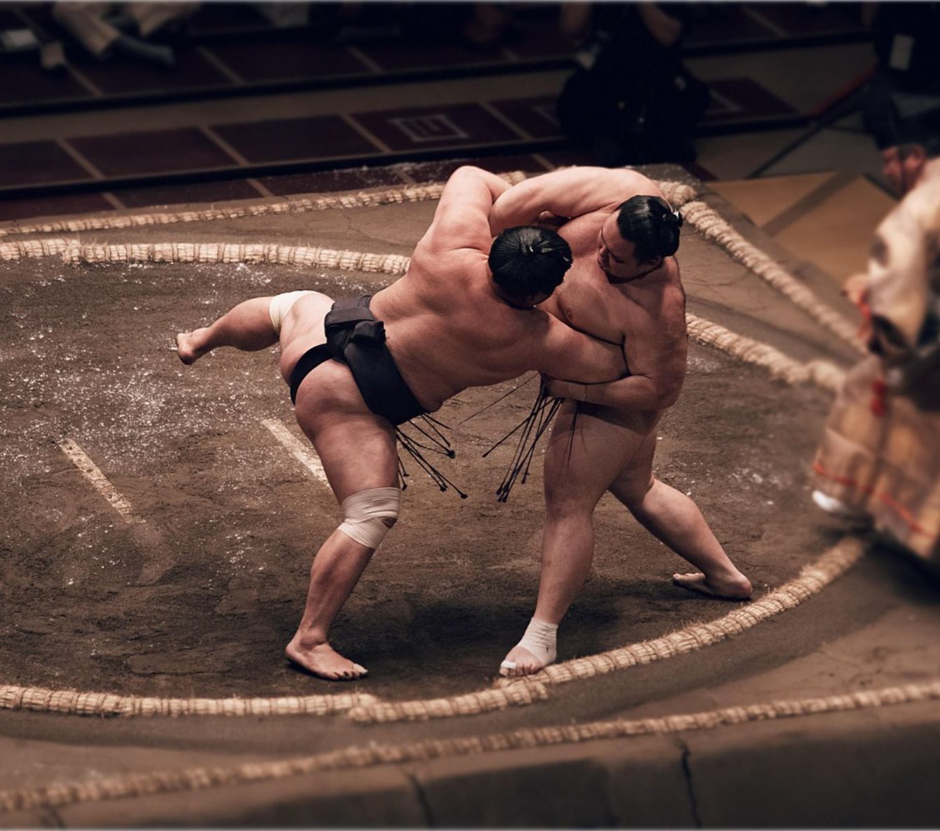 Rondreis Japan, Tokyo, excursie Sumo Tour, Sumo gevecht