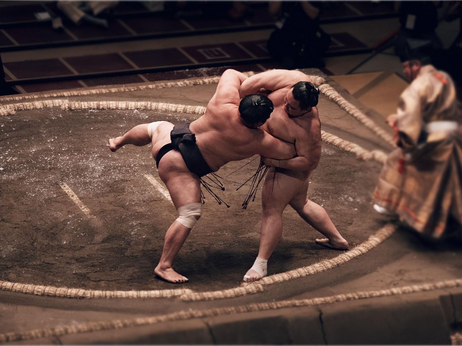 Rondreis Japan, Tokyo, excursie Sumo Tour, Sumo gevecht