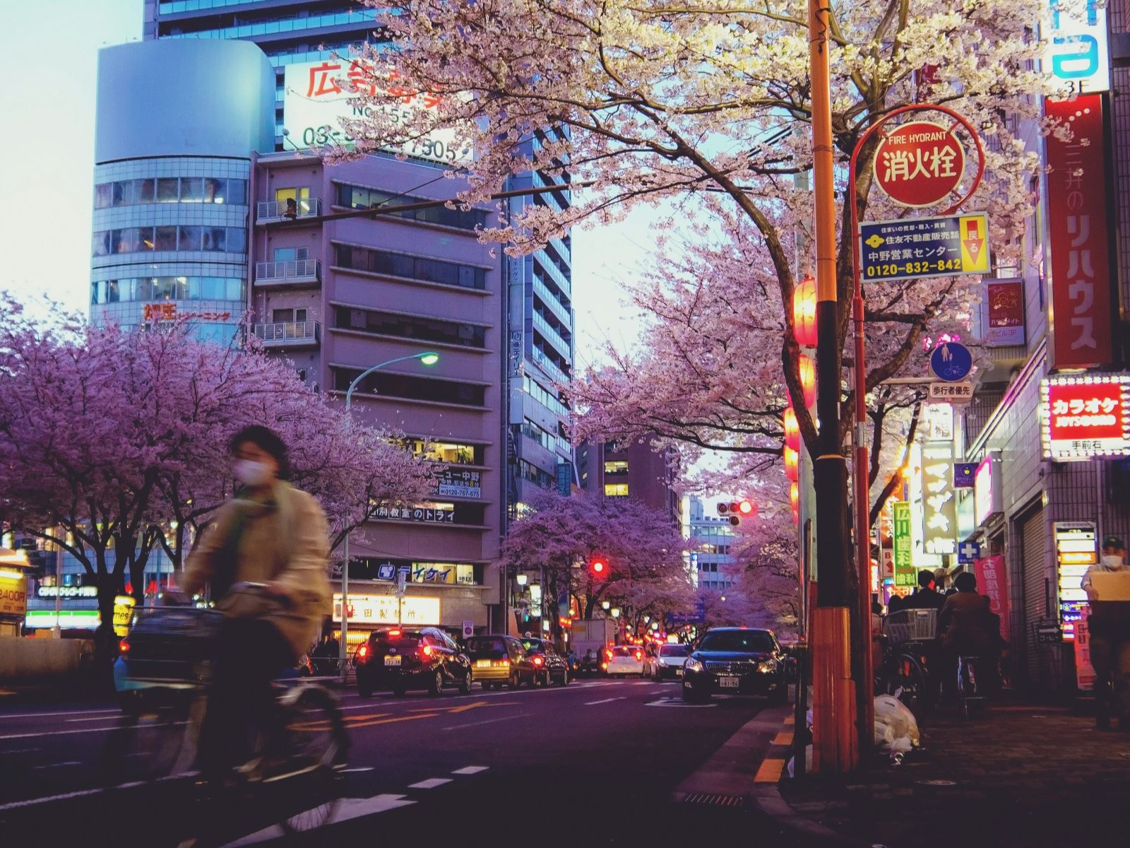 Rondreis Japan, Tokyo, excursie Tokyo foodtour, fietser in schermering op straat