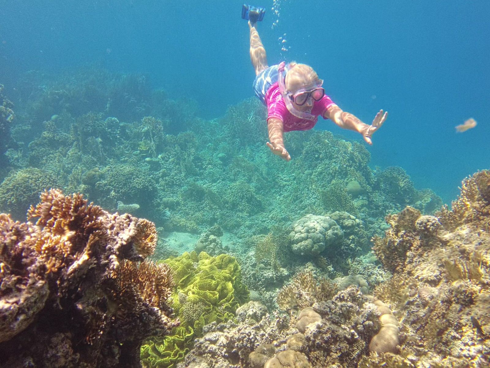 Rondreis Jordanië, Aqaba, excursie snorkelen in de Rode Zee, vrouw snorkelen
