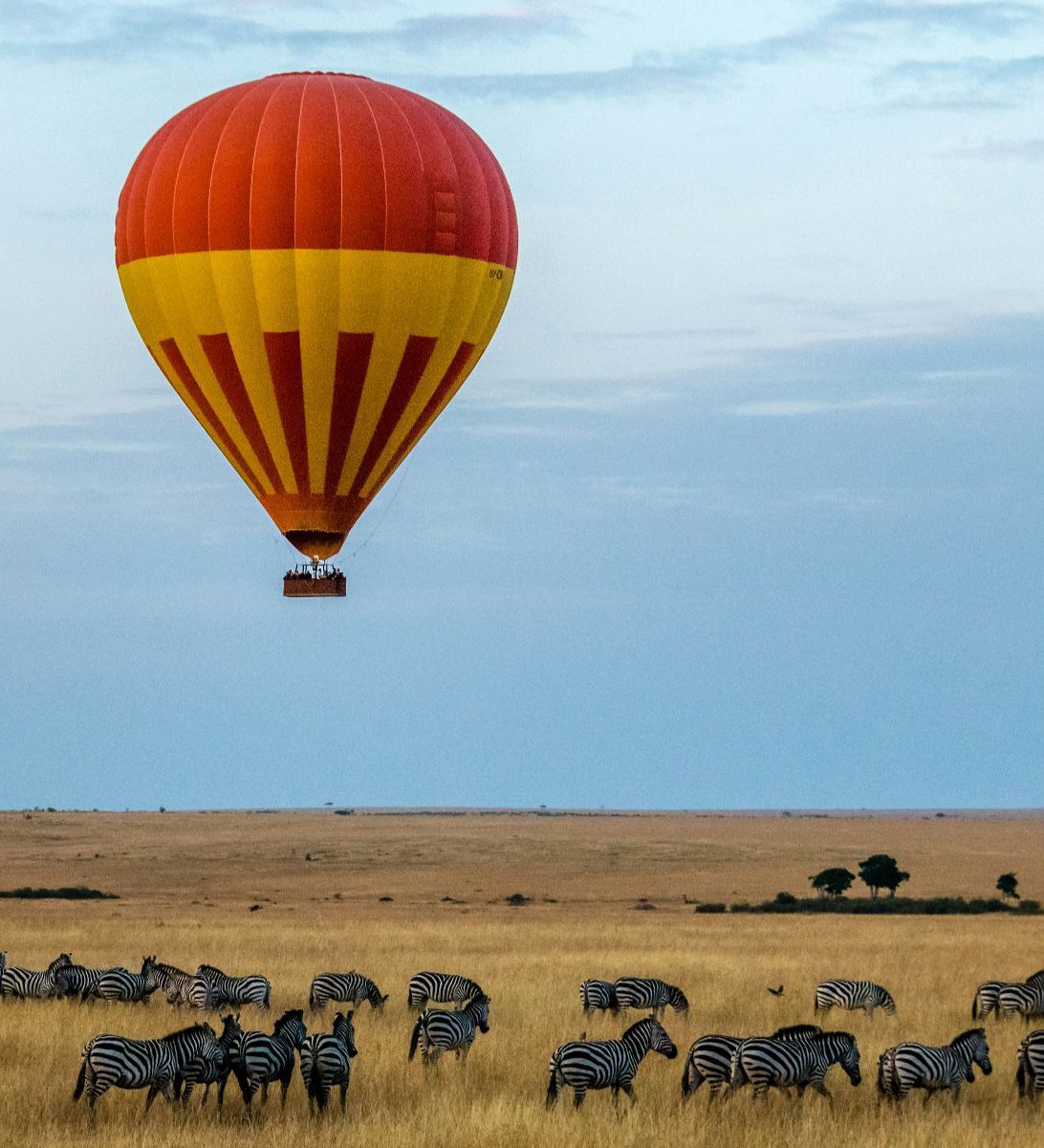 Rondreis Kenia, Masai Mara, excursie ballonvaart over Masai Mara National Reserve, luchtballon boven zebra's
