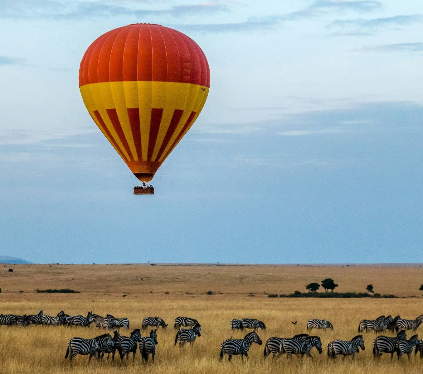 Rondreis Kenia, Masai Mara, excursie ballonvaart over Masai Mara National Reserve, luchtballon boven zebra's