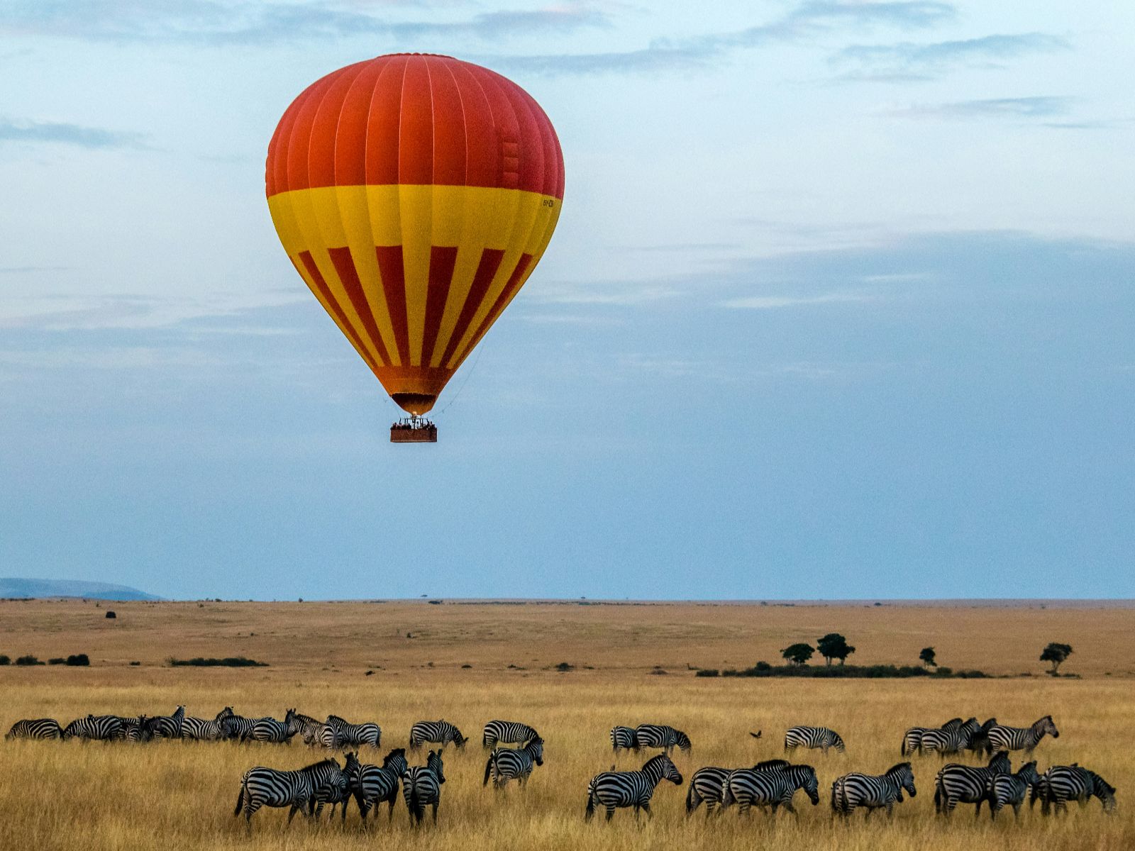 Rondreis Kenia, Masai Mara, excursie ballonvaart over Masai Mara National Reserve, luchtballon boven zebra's