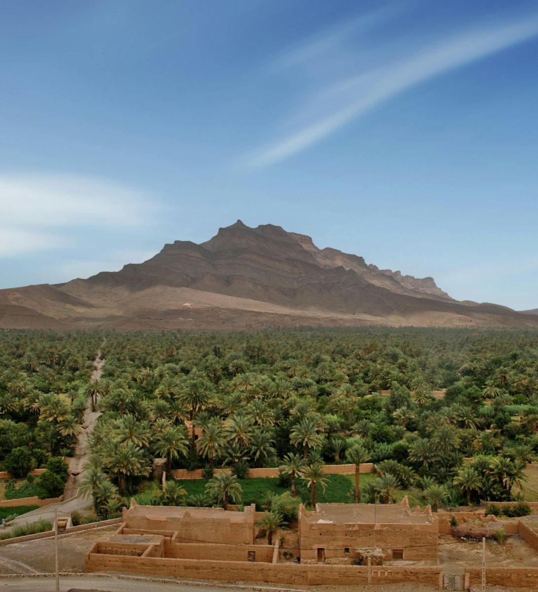 Rondreis Marokko, Agdz, palmbomen met gebergte