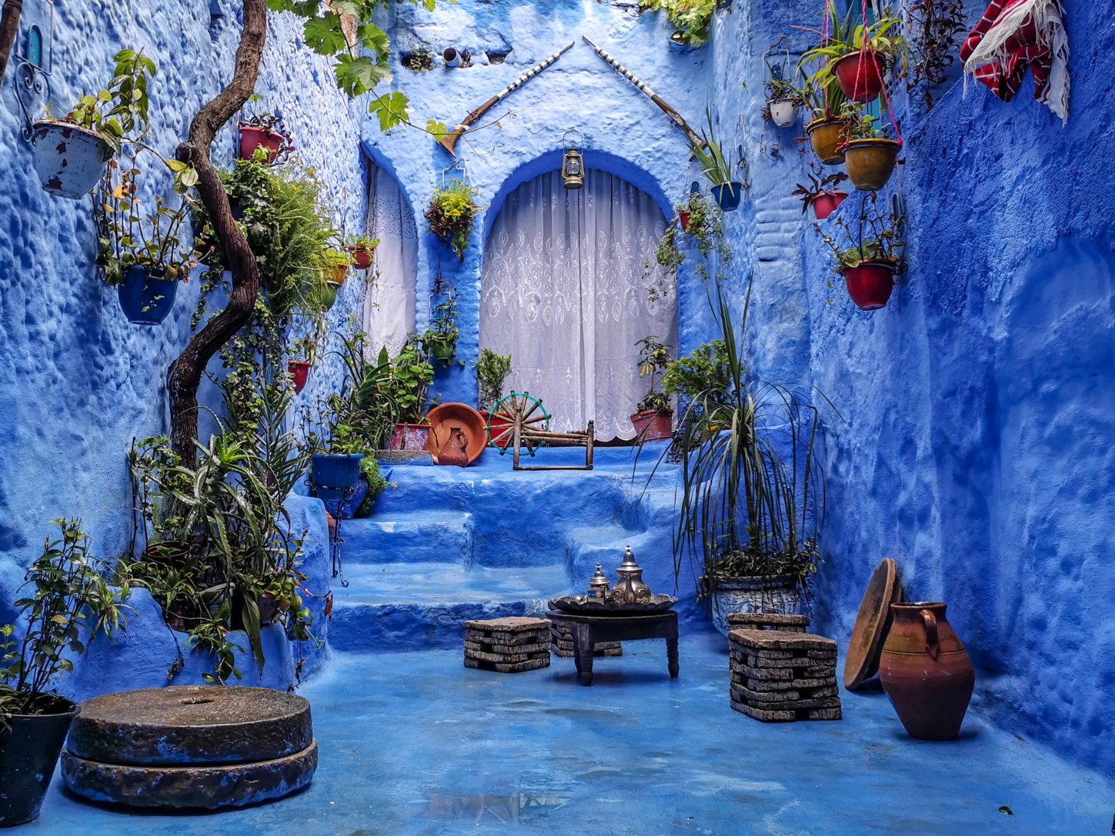 Rondreis Marokko, Chefchaouen, blauwe deur met planten