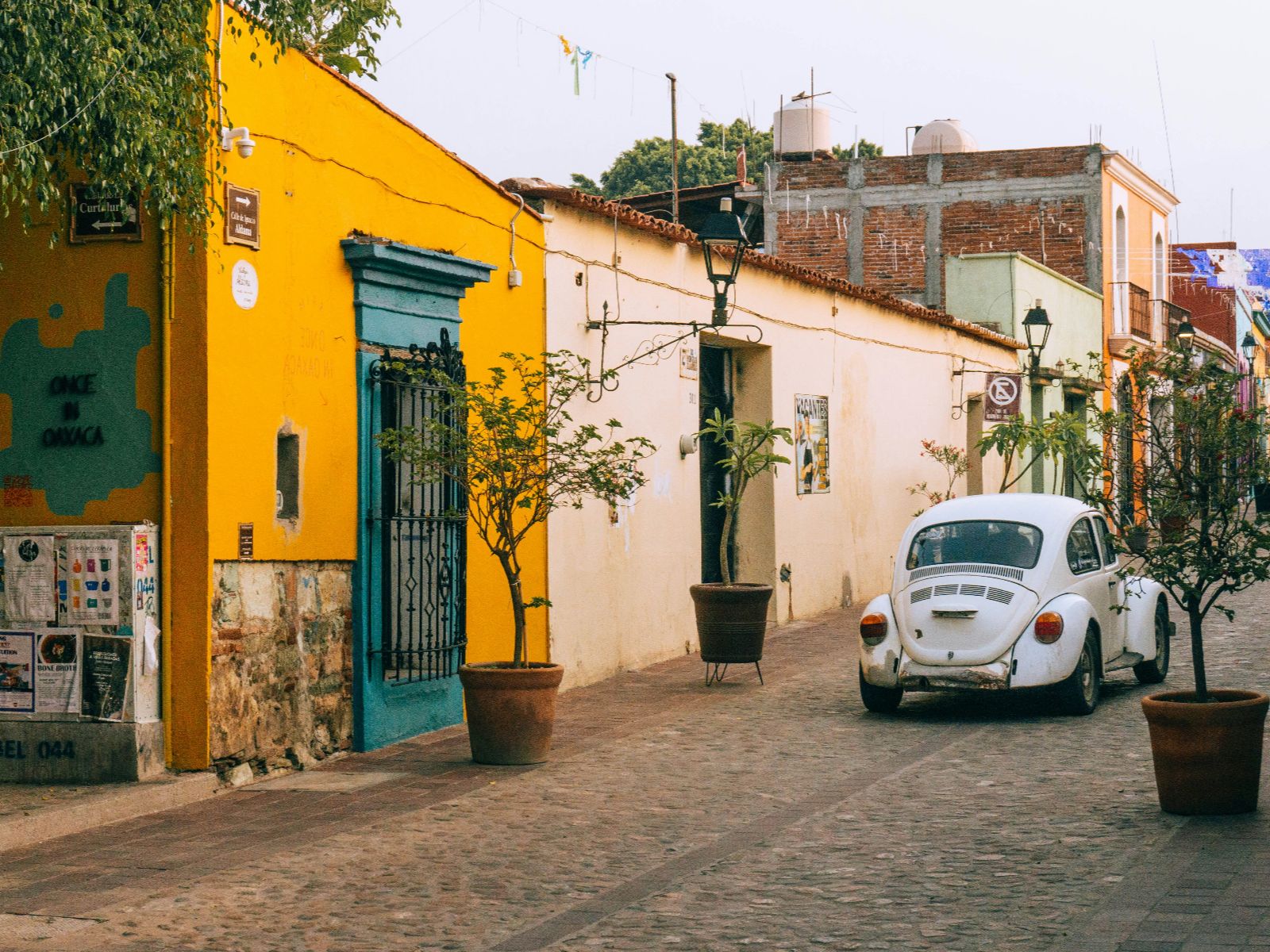 Rondreis Mexico, Oaxaca, Stadstour in Oaxaca, leuke straat in Oaxaca met gele muur
