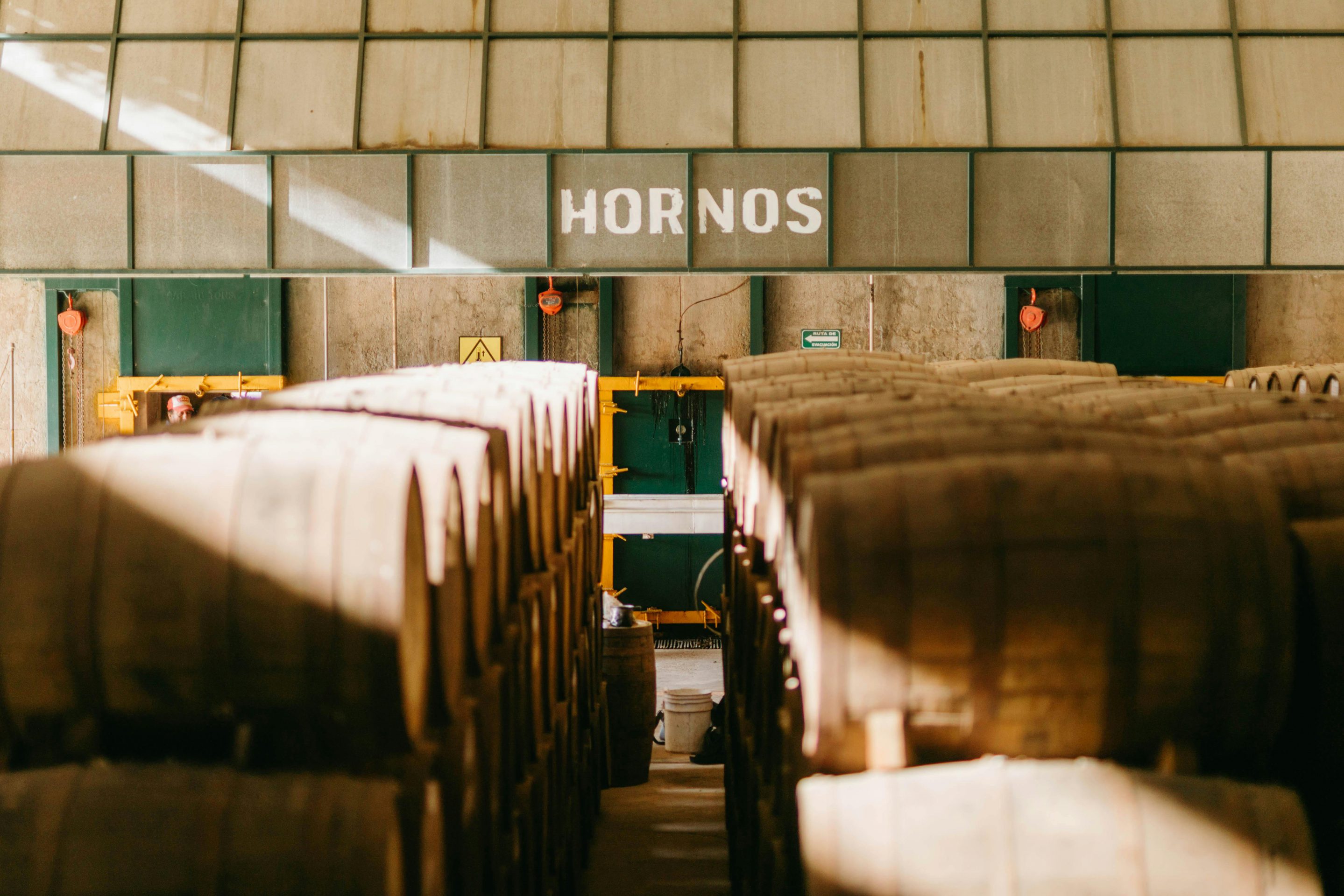 Rondreis Mexico, Oaxaca, Van de Tuleboom tot mezcal - Een dag in Oaxaca, mezcal brouwerij, houten vaten
