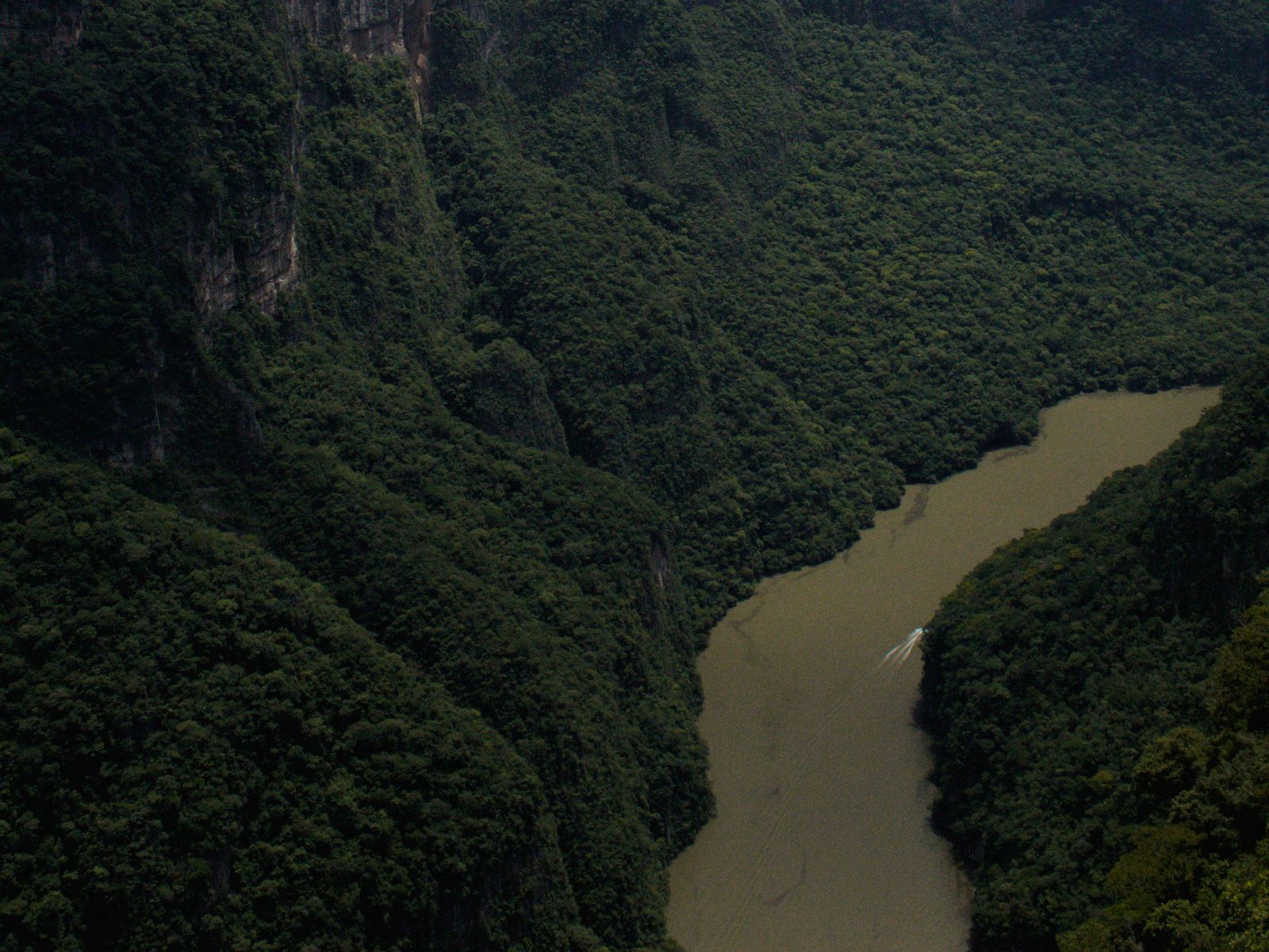 Rondreis Mexico, San Cristobal, Boottocht door de Cañón del Sumidero, hoge rotsen bij de rivier van bovenaf