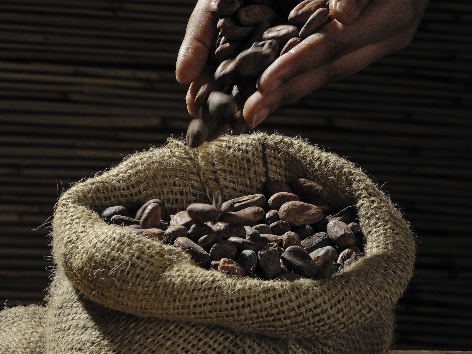 Rondreis Mexico, San Cristobal, Cacao workshop van boon tot reep, cacaobonen in een zak