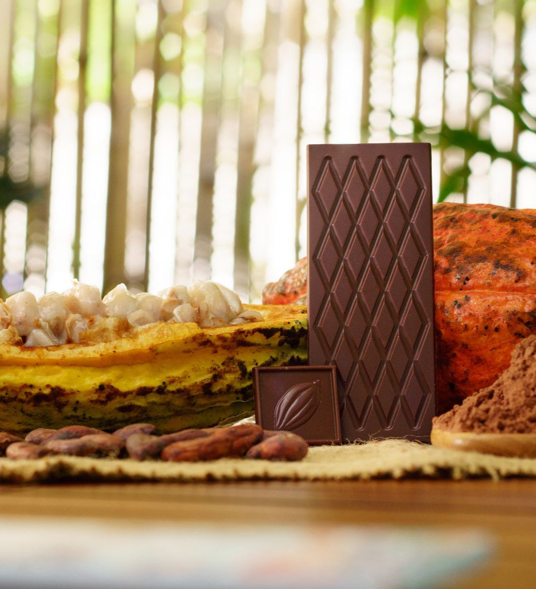 Rondreis Mexico, San Cristobal, Cacao workshop van boon tot reep, cacaobonen, vrucht en reep