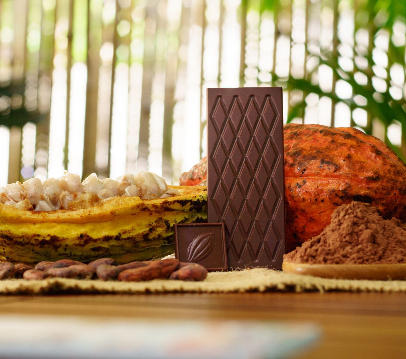 Rondreis Mexico, San Cristobal, Cacao workshop van boon tot reep, cacaobonen, vrucht en reep