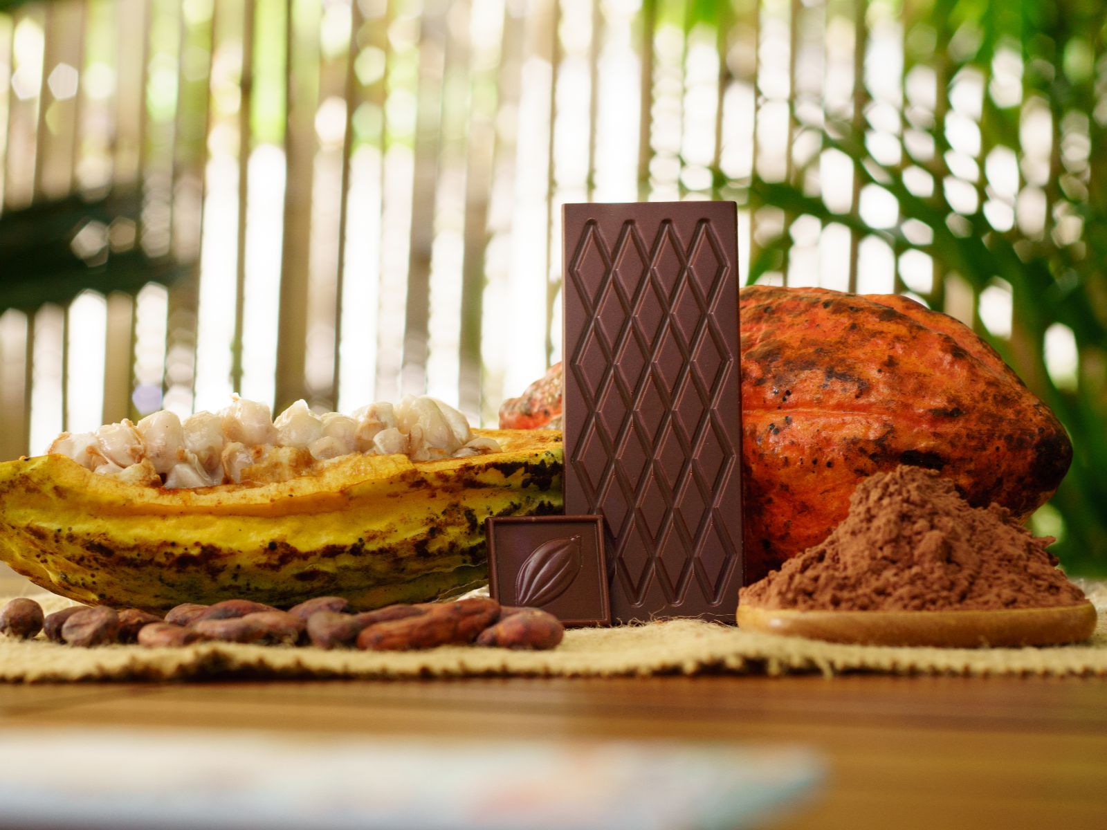 Rondreis Mexico, San Cristobal, Cacao workshop van boon tot reep, cacaobonen, vrucht en reep