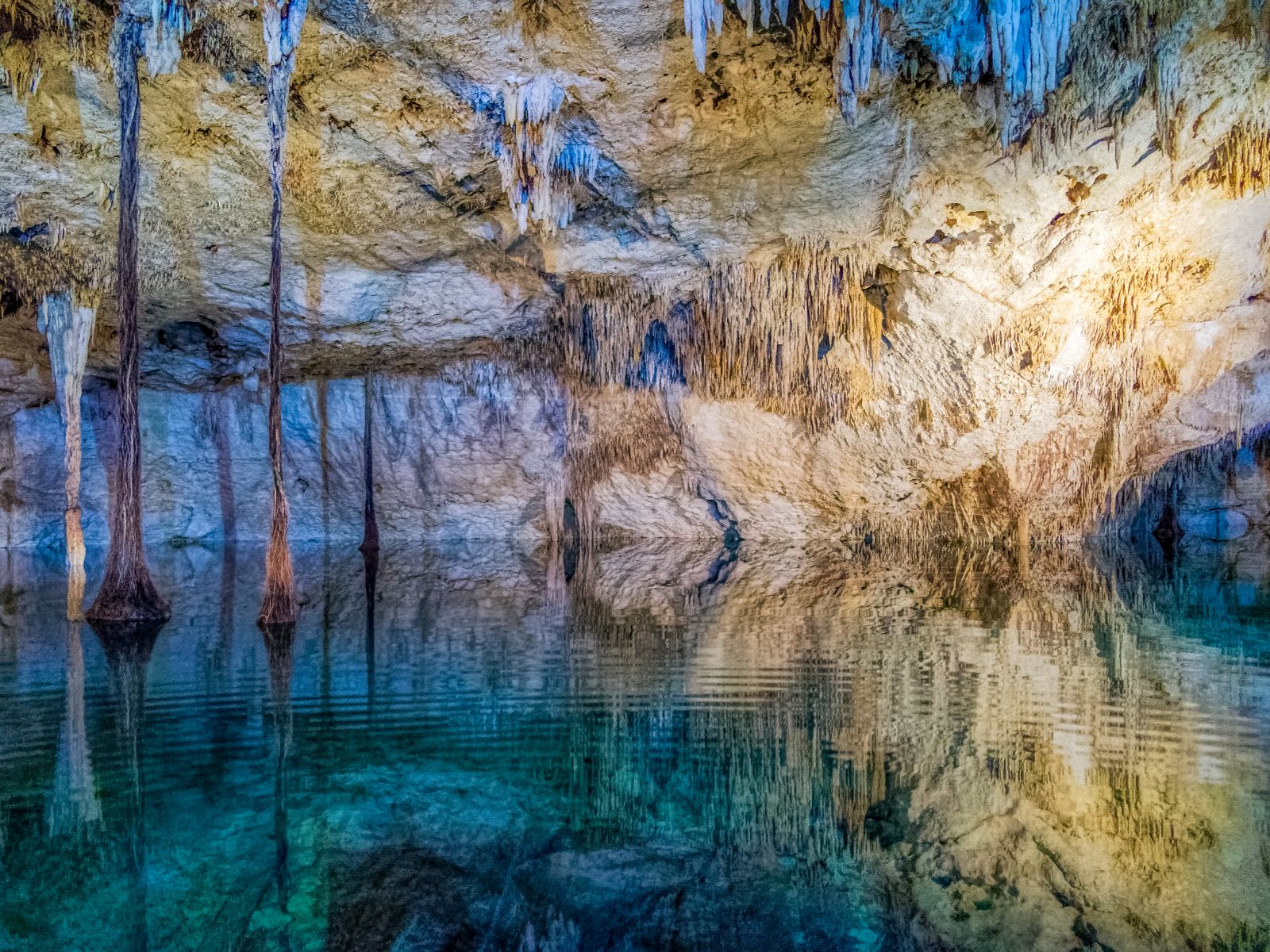 Rondreis Mexico, Valladolid, Cenote bij nacht, cenote in het donker