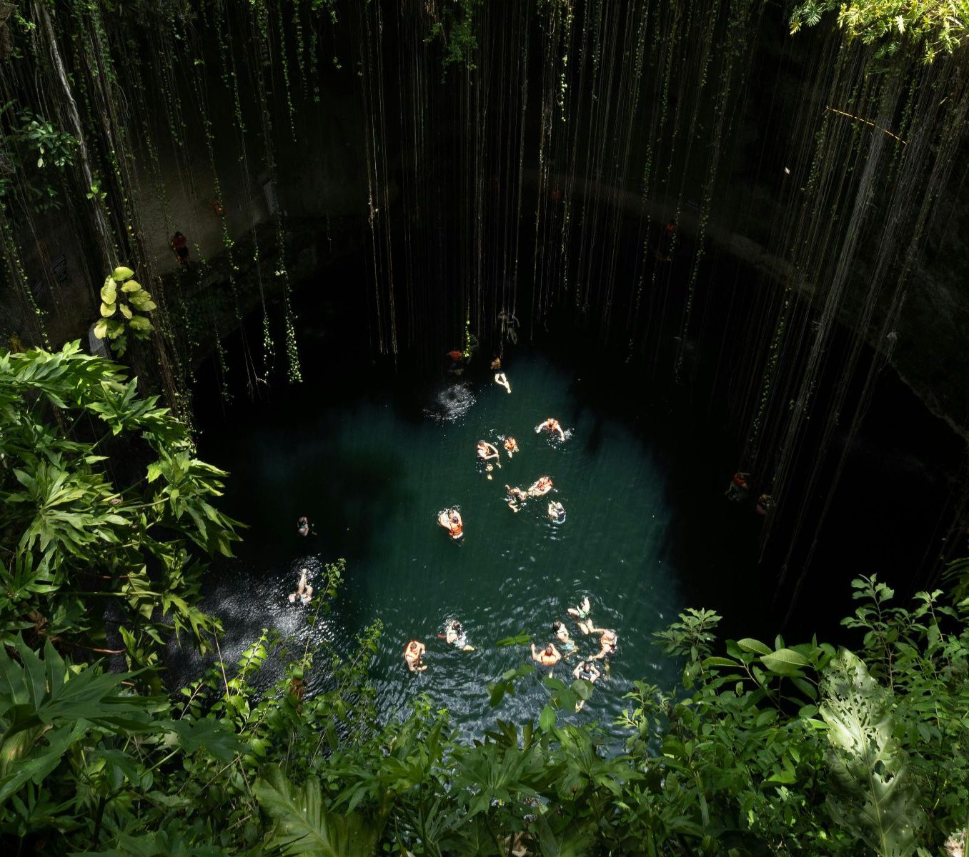 Rondreis Mexico, Valladolid, Op de fiets langs cenotes en de Maya-cultuur, cenote van bovenaf met zwemmende mensen