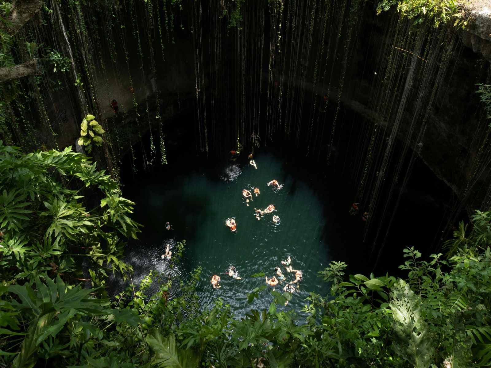 Rondreis Mexico, Valladolid, Op de fiets langs cenotes en de Maya-cultuur, cenote van bovenaf met zwemmende mensen