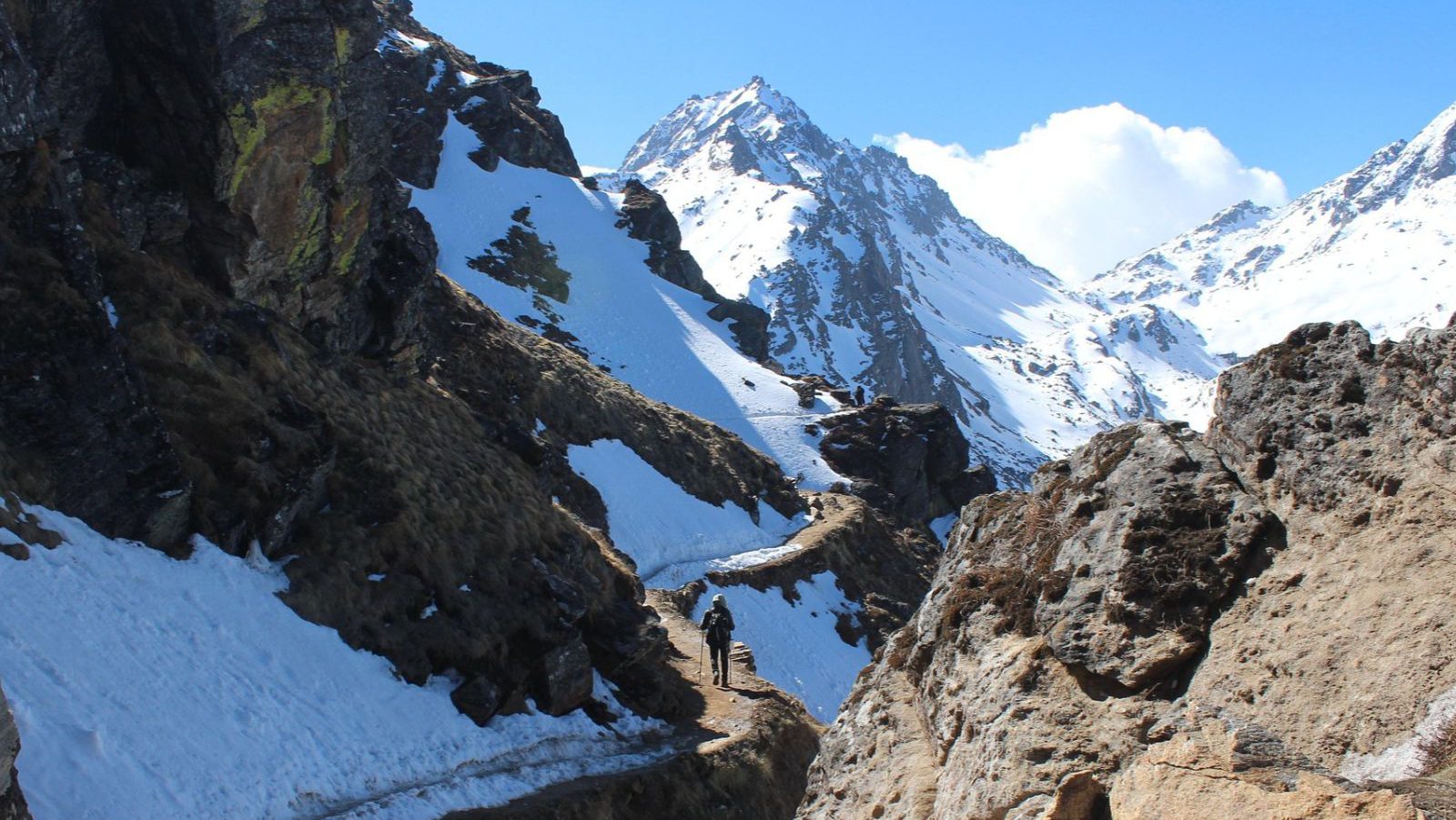 Rondreis Nepal, Langtang Regio, bergpad met besneeuwde toppen