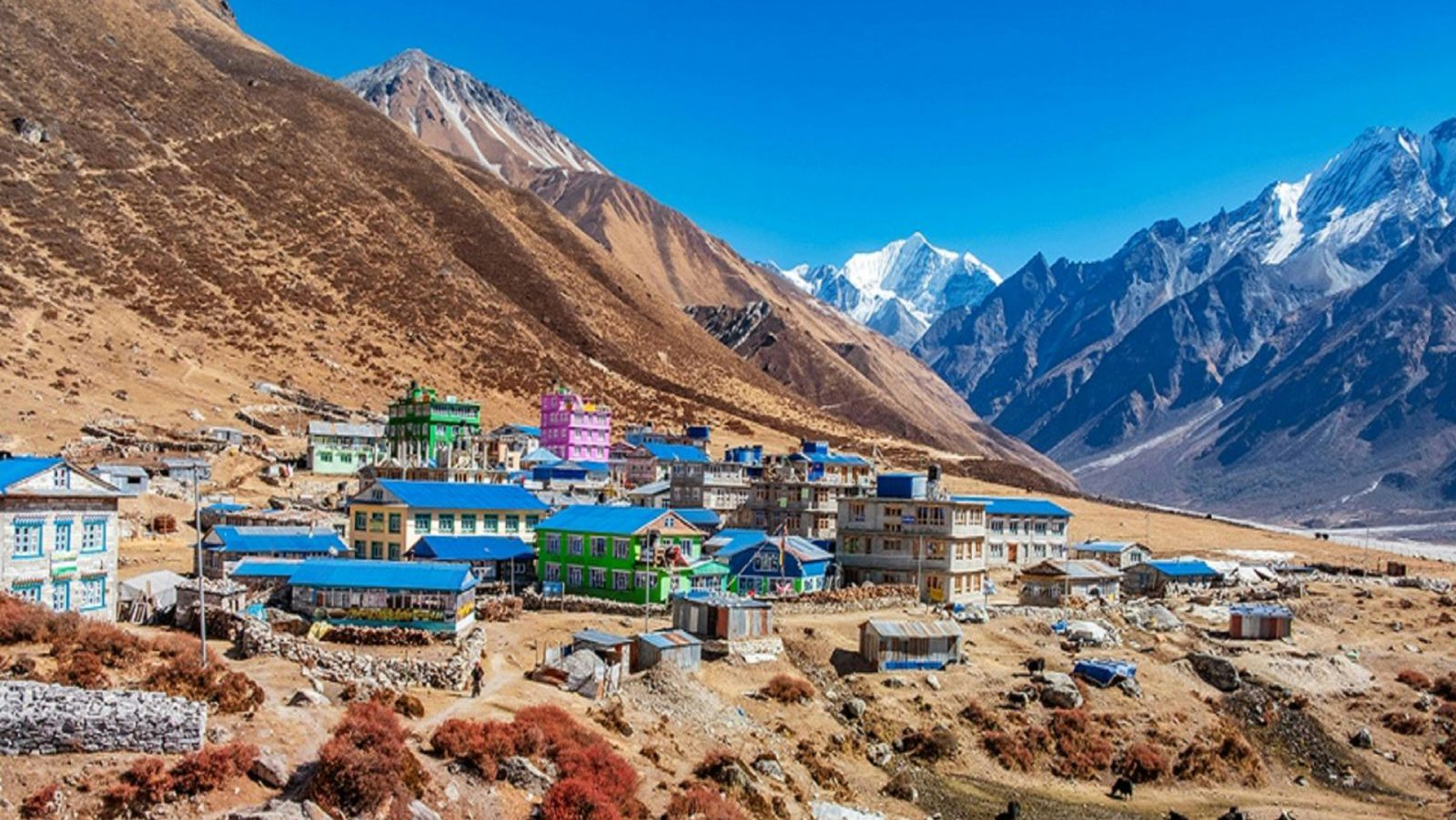 Rondreis Nepal, Langtang Regio, dorp in de bergen
