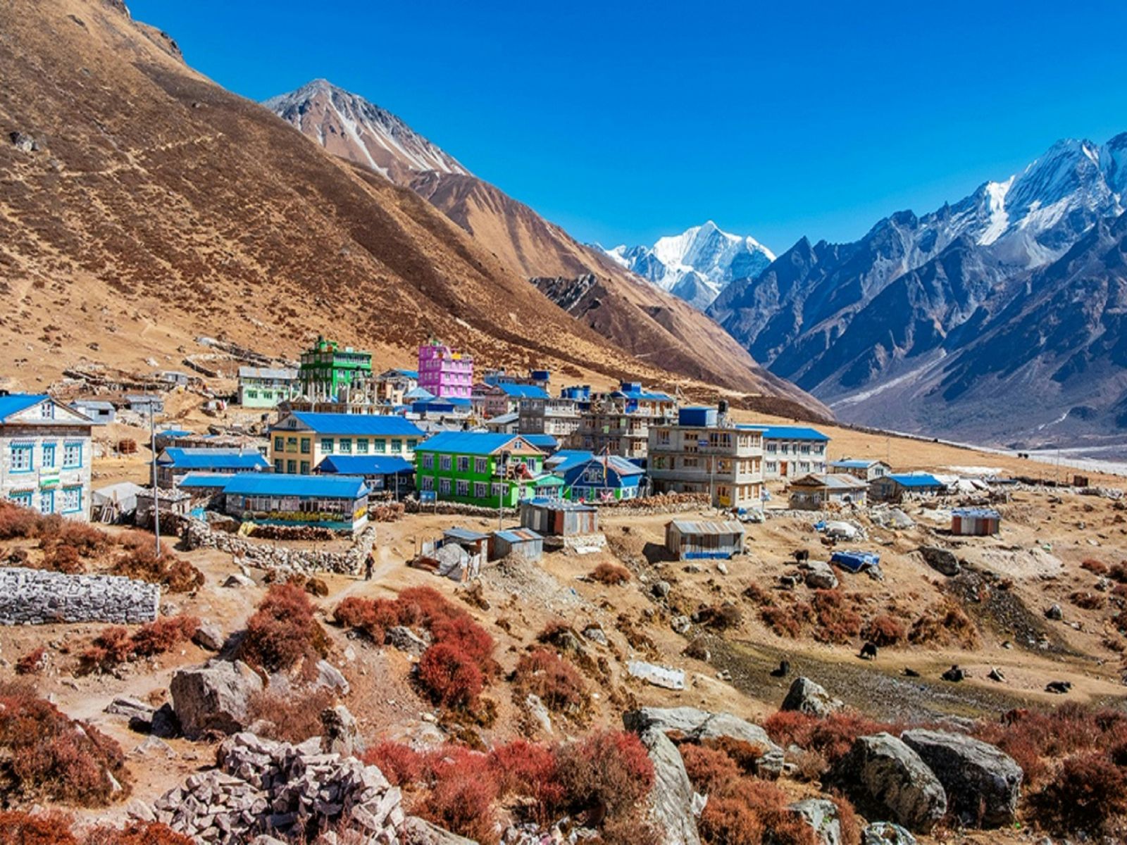 Rondreis Nepal, Langtang Regio, dorp in de bergen