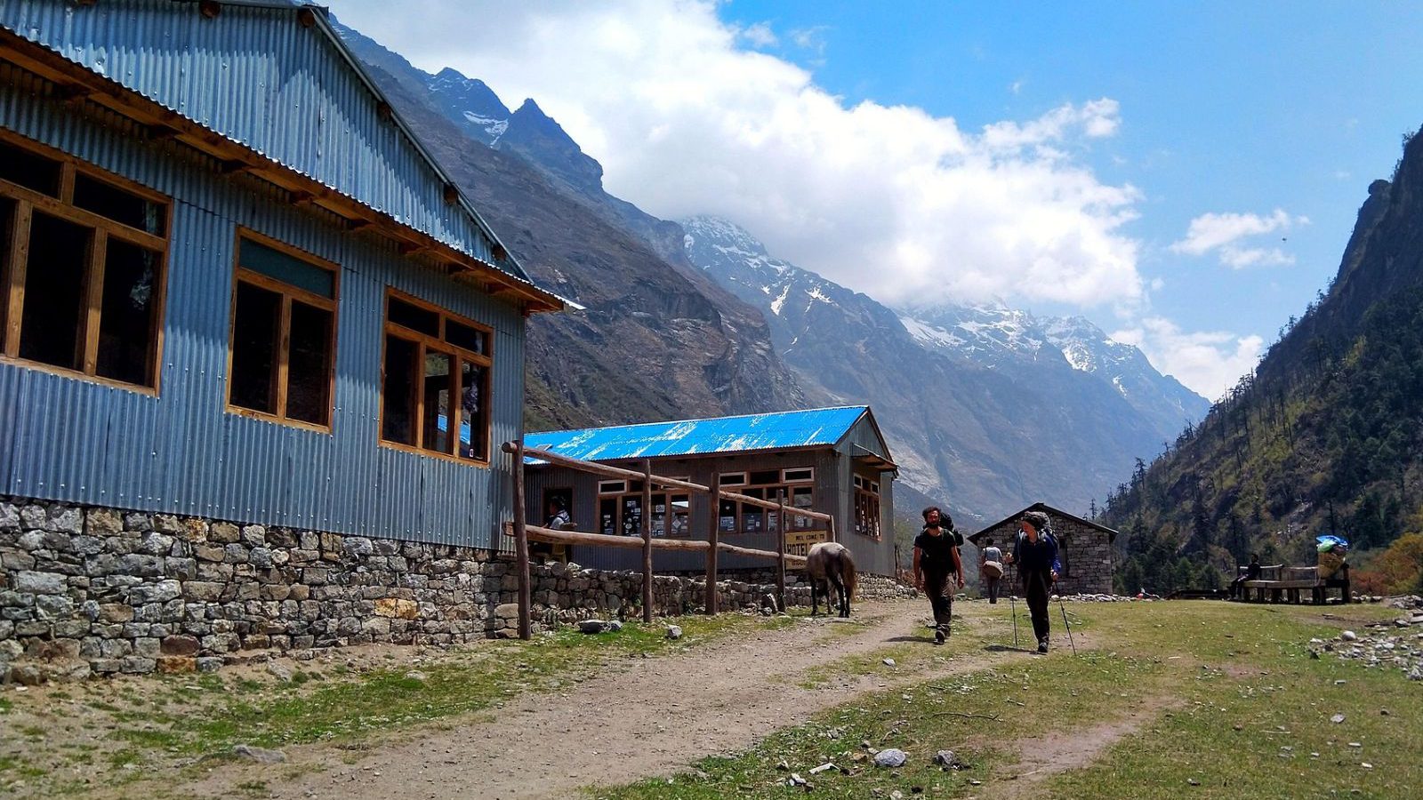 Rondreis Nepal, Langtang Regio, wandelaars tijdens trektocht Langtang