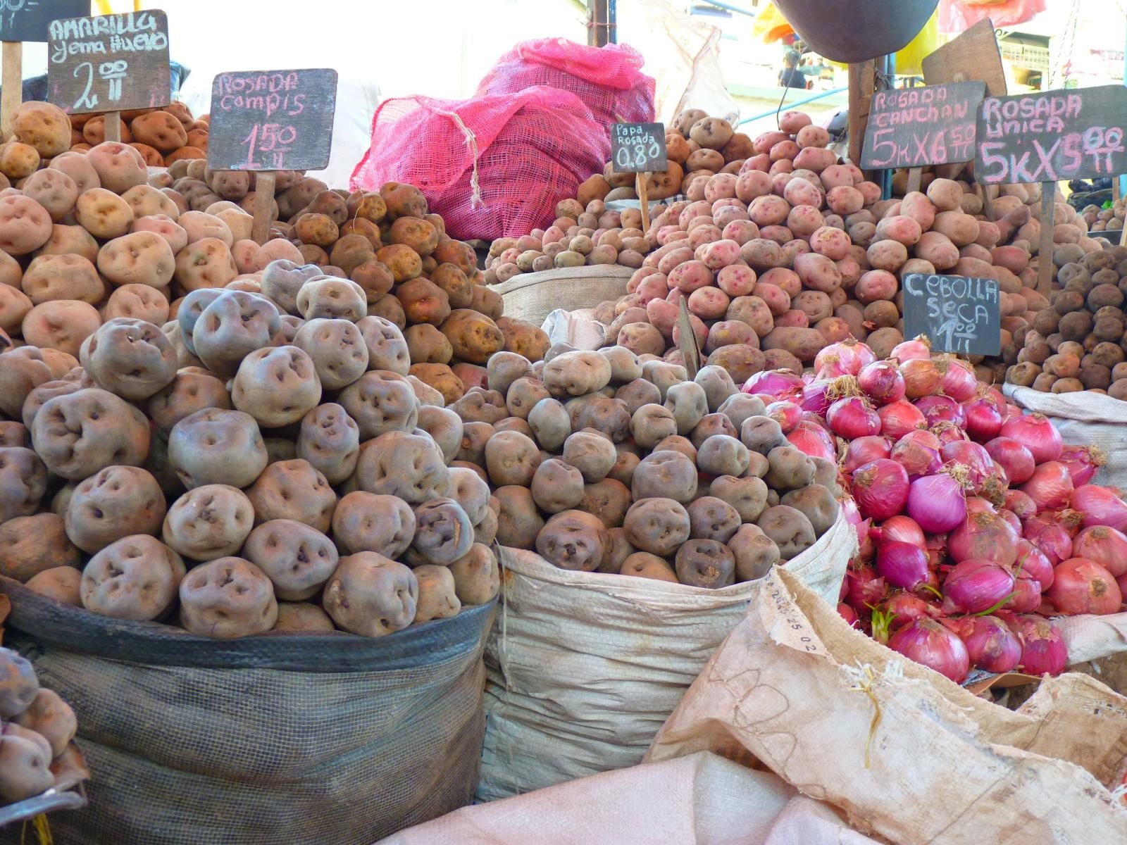 Rondreis Peru, Cusco, excursie Peuraanse kookworkshop, aardappelen markt