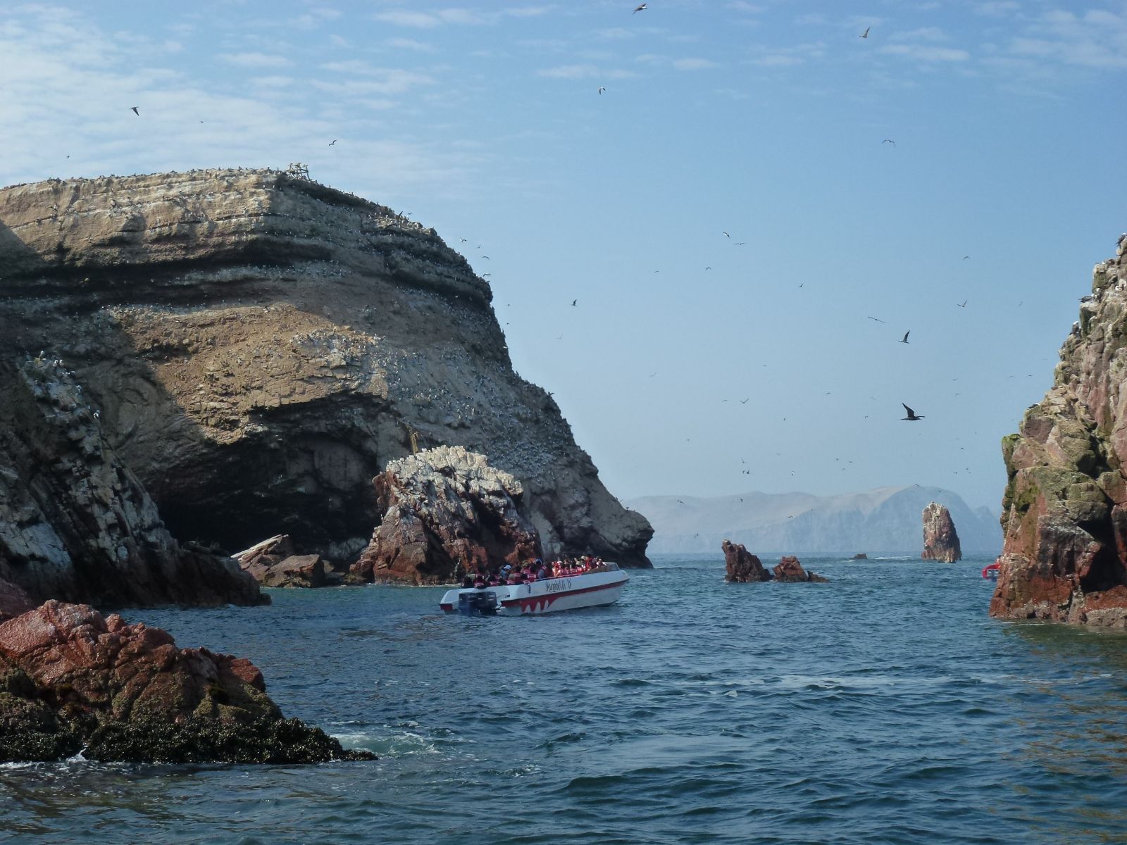 Rondreis Peru, Ica, excursie natuur en wildlife Ballestas eilanden, boot op het water