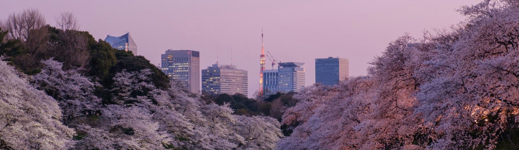 rondreis-japan-header-0-aspect-ratio-1512-438